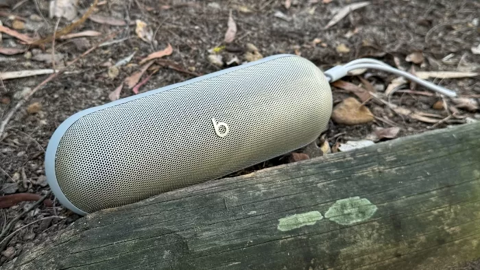 Beats Pill (Photo: Alex Kidman)